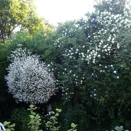 Apartment Ferienwohnung Morbach Morbach