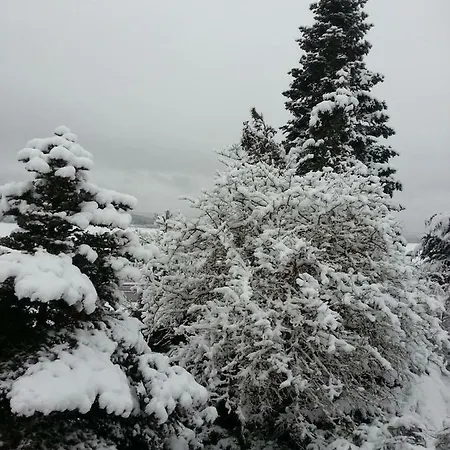 Ferienwohnung Morbach Apartment Morbach