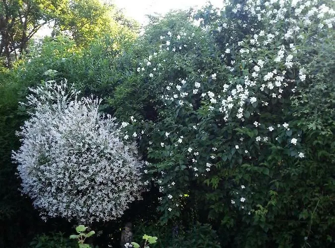 Διαμέρισμα Ferienwohnung Morbach Morbach